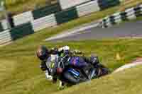 Middle Group Black Bikes